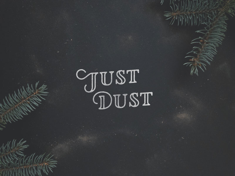 Just Dust hand lettering logotype logo lettering