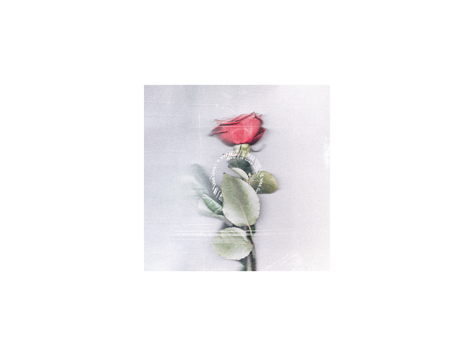 Lany cover redesign It was love artwork cover art dribbbleweeklywarmup lany photoshop print rose visual