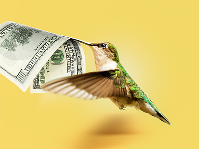 Fast Deposit bird bonus cash deposit dollar fast forex hummingbird hummingbirds instant money withdrawal