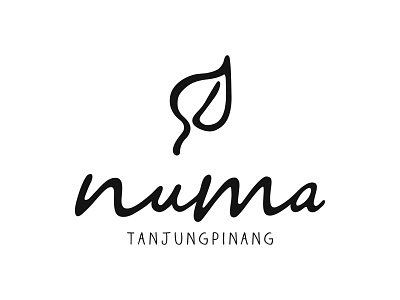 Numa design graphic logo