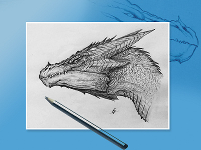 Dragon - Pencil Drawing design drawing pencil