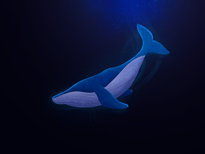 Deep sea illustration procreate app whale