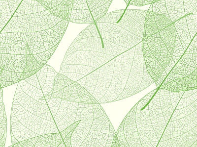 leaves vector seamless pattern