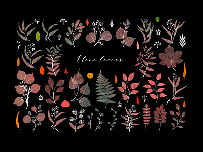 vector leaves design