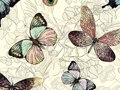 Pattern with butterflies and flowers in vintage style. butterflies flora flowers illustration old pattern retro style tropical vector vintage