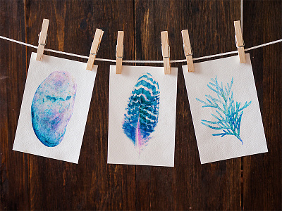 Watercolor stone, feather and white cedar branch blue botanical branch feather stone watercolor white cedar