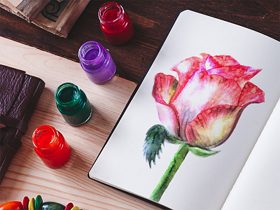 Watercolor rose