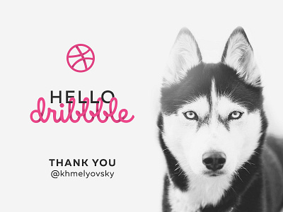 Hello Dribbble! dog dribble first shot hello hi pulls thank you