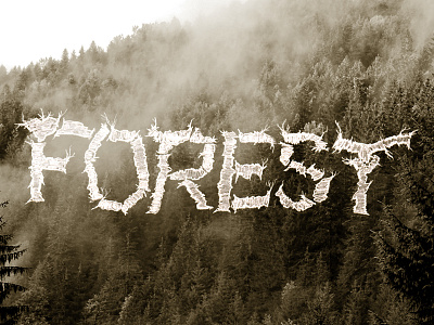 Forest design enos kenji kenjiboy lettering type typography