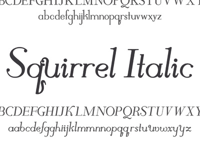 Squirrel Display design display font lettering serif squirrel type typeface typography
