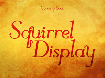 Squirrel Display display squirrel