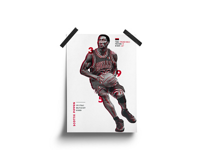 Scottie Pippen Poster basketball basketball player brand branding bulls chicago chicago bulls design flyer infographic nba nba finals nba player nba poster pippen player poster poster design scottie pippen stats