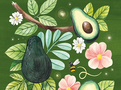 Dribbble avocado avocados cover cover design illustration notebook watercolor watercolour