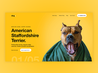 Dog+ - Breed Information desktop UI breeds design desktop digitaldesign dog typography ui ux website