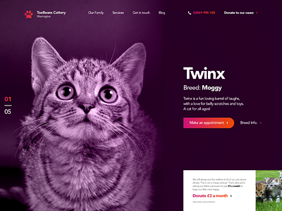 Cattery Landing Page UI Concept cats design desktop digital design landing page typography ui ui design ux website website design