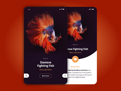 An aquarium based app for searching marine life animals app design fish iphone marine mobile ui user interface ux