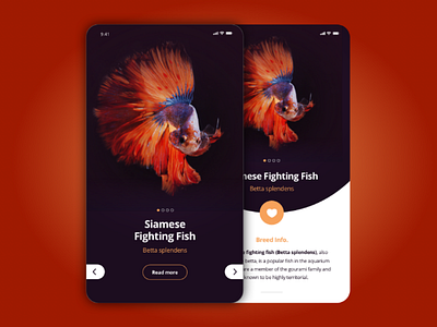 An aquarium based app for searching marine life