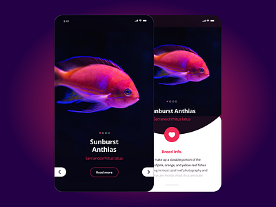 Part 2 of Aquarium theme app app apple design iphone mobile mobile app ui ux webdesign website