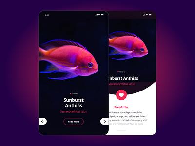 Part 2 of Aquarium theme app