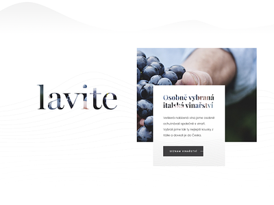 Lavite design desktop lavite ui web