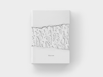 Book Design: Marrow book cover book cover design book design cover design digital art dribbble marrow mockup texture white