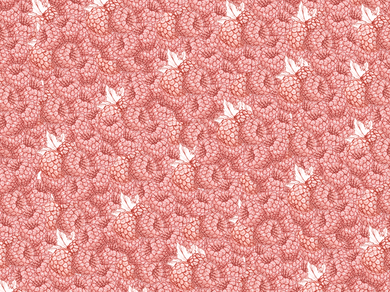 Raspberry Pattern raspberry pink pattern fruit illustration