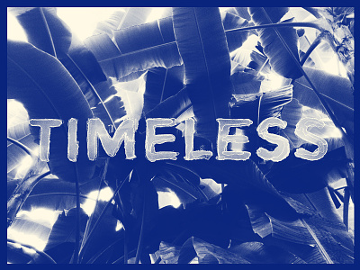 Timeless art direction forest jungle lettering overlay paint type typography watercolor