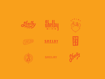 Shelby Study drawn lettering logo logomark script typography wordmark