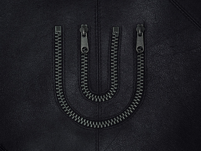 99 logos project - Zipper