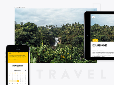 Travel Agency UI calender mobile tablet travel ui