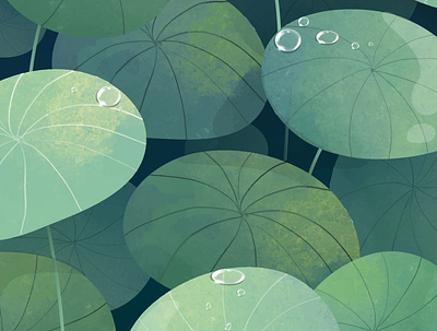 Green Pennywort illustration illustration leaf nature painting vector