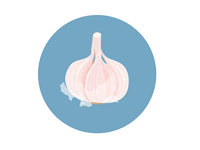 garlic creative illustration garlic