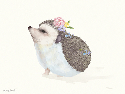 Hedgehog animal botanical character floral flowers hedgehog illustration paint wildlife