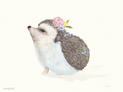 Hedgehog