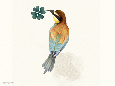 Bee Eater bee eater bird character clover digital painting illustration leaf luck wildlife