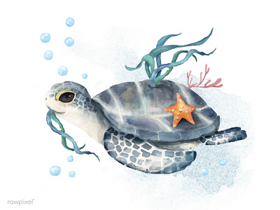 Sea Turtle coral reef digital painting illustration sea turtle starfish turtle
