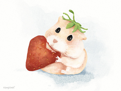 Hamster cute eat hamster illustration painting strawberry strawberry lover watercolor