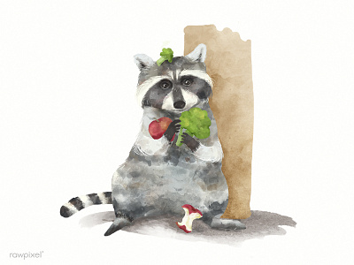 Raccoon animal apple character cute illustration painting raccoon vegan watercolour