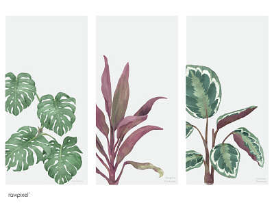 Leaf 3 botanical floral green illustration leaf nature painting plant