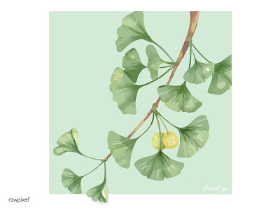 Ginkgo digital painting ginkgo green illustration japan leaves nature