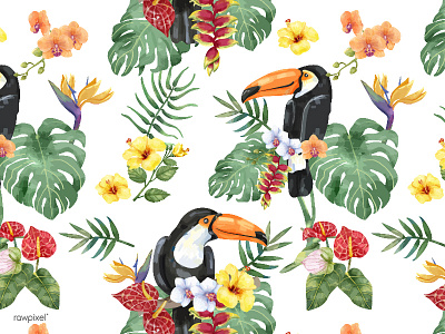 Tropical 1 bird of paradise floral illustration leaf pattern plants tropical