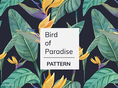 Tropical 2 bird of paradise floral illustration leaf pattern plants tropical