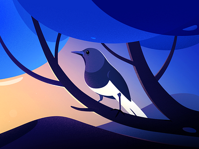 Magpie-robin bird blue evening hill illustration illustrations kerala birds landscape light little bird magpie robin nature sunset tree vector