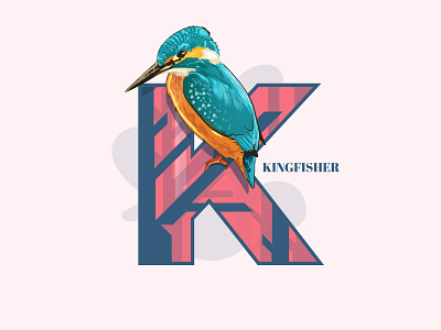 Kingfisher 36 days of type creative design illustration illustrator kingfisher minimal