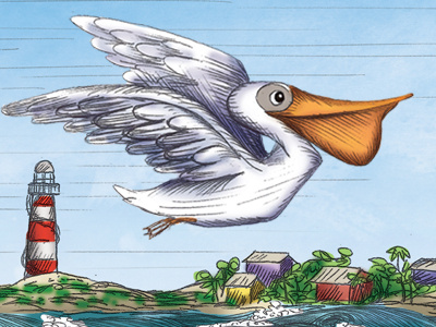 Pelican beach bird hannah tuohy illustration lighthouse pelican tropical