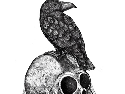 The Raven and the Skull bird crow dark death drawing halloween hannah tuohy illustration nevermore pen and ink raven scary scratchy skull spooky