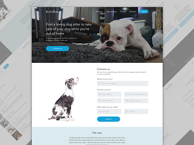 Contact Us blue contact contact form contact us daily ui dog landing landing page ui vet website