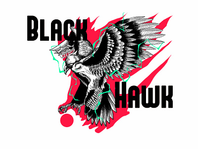 Black Hawk branding colorful design doodles graphic design illustration logo texture vintage