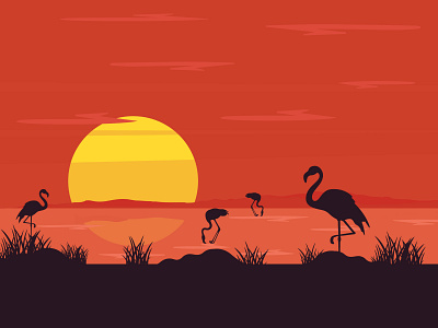 Walk on the Wild Side colour concept create design draw dribbble idea illustator vector wild