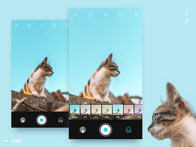 camera interface 01 app camera design ui